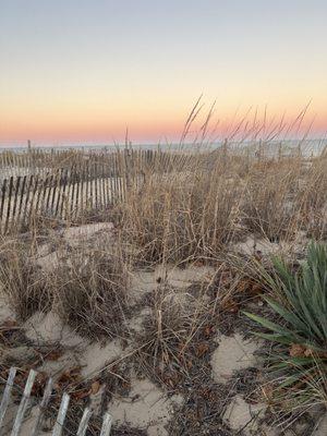 Dunes at Dusk