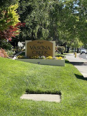 Vasona Creek!