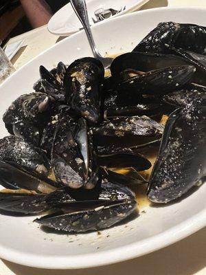 Mussels