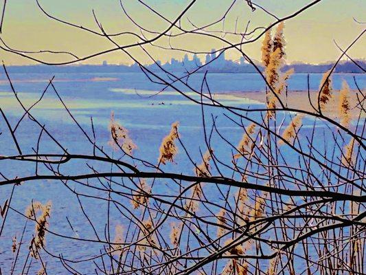 Amico Island State Park