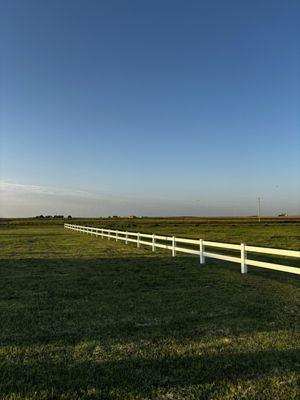 Grassy area, where we walked our dogs