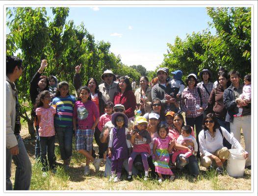 Annual Cherry Picking Trip!