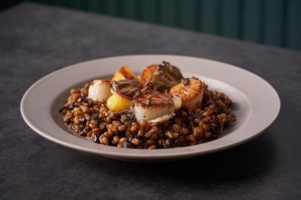 JJAJANG BORI-BAP
 Seared scallops over barley mixed in black bean sauce & truffle paste
 $25