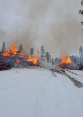 Brush pile burning, Black Hills, South Dakota. Bradeen Skid Steer Services