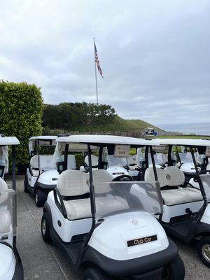 Carts lined up with tee times.