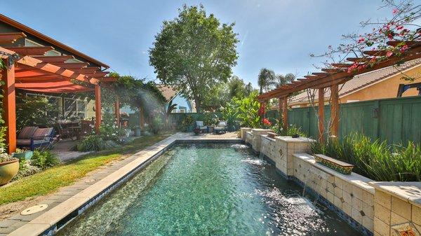 Backyard Oasis