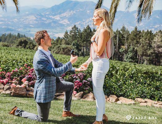 Customer Proposal in Napa Valley