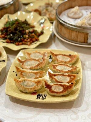 Shrimp & Pork Pan-Fried Dumplings 
三鲜锅贴