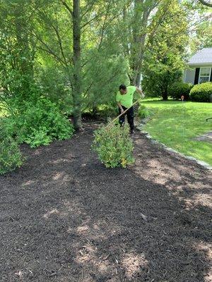 Mulch install Easthampton