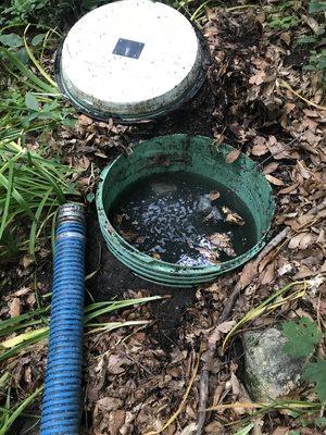 Pumping and cleaning a septic tank.