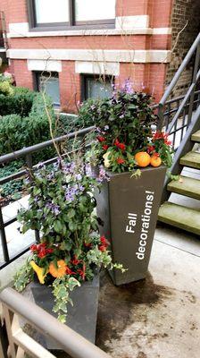 2017 fall containers