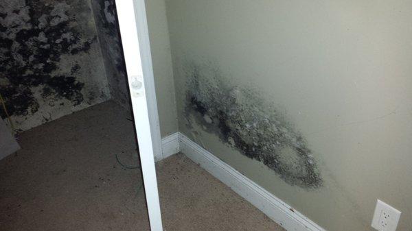 Residential mold issue.