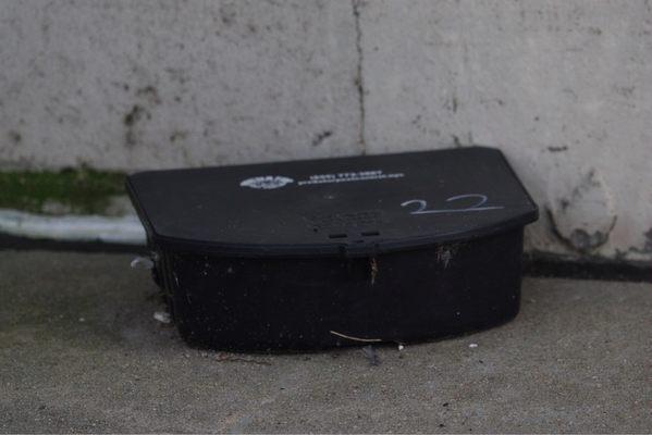 Rodenticide bait box, one of many containing Second Generation Anticoagulant Rodenticide products in an Eisenhower Park.