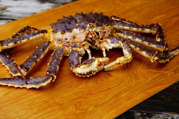 Live King Crab