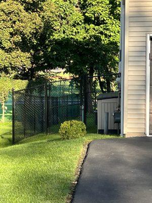 Pictures of the Fence on left side of the house. Really nice.