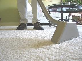 carpet cleaning miami