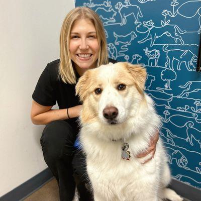 Sydney (Veterinary Technician) with Forrest the Great Pyrenees!