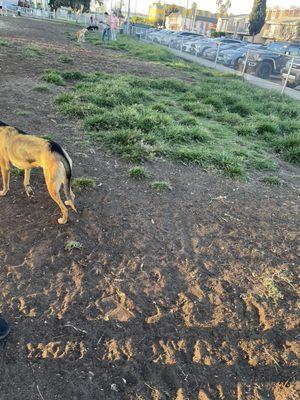 North Park Community Dog Park