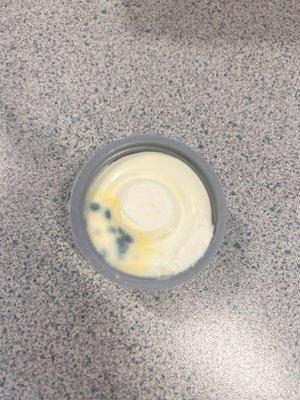 Mold in the cream cheese that goes with the bagel