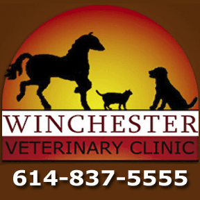 Winchester Veterinary Clinic