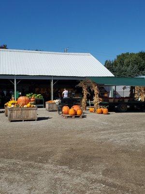 Many, Many Sizes of Pumpkins. 9/21/2024