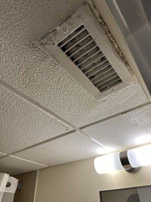 Moldy ceiling