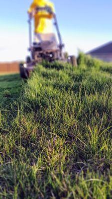 Elite Lawn Care and Snow Removal