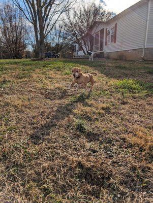 Boulder skipping around during his stay