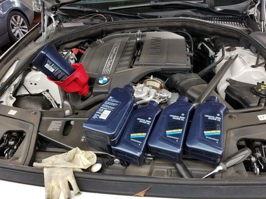 engine service with BMW factory parts