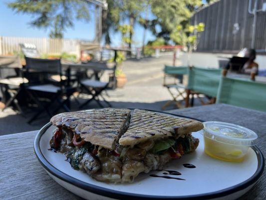 Vegetarian panini