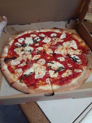 Margherita Specialty Pizza