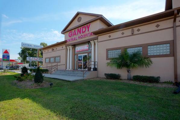 Gandy Animal Hospital