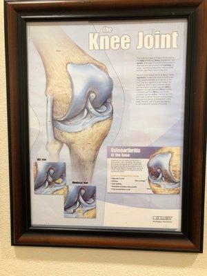 Premier Orthopedics of Fort Worth