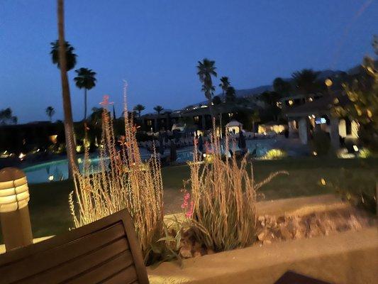 Here's a view from our table overlooking the pool and courtyard.