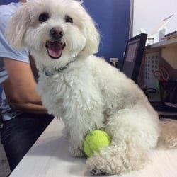 Helping out at the front desk