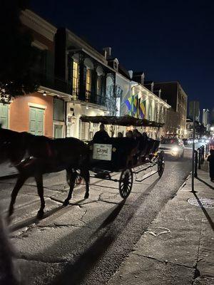 Mule drawn carriage