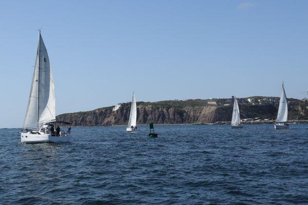 Sailing in Dana Point is hella fun!