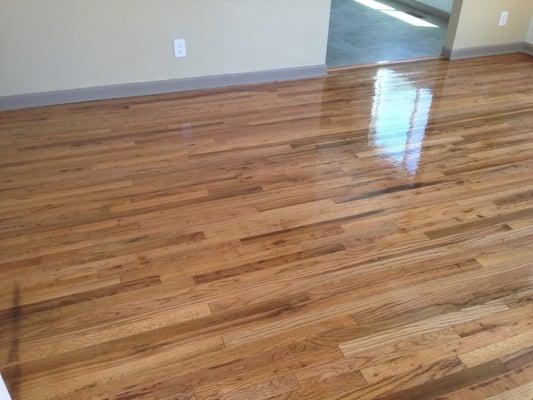 My daughter's floors, cleaned, sanded, and professionally refinished by Walt Nielsen and crew. Absolutely beautiful !