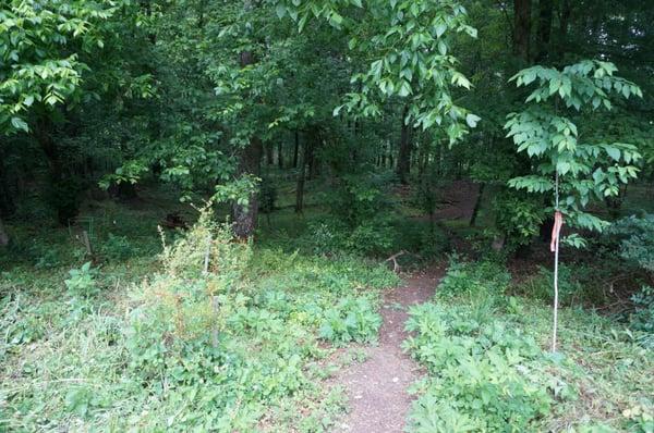 Path from garden area to the rest of the property