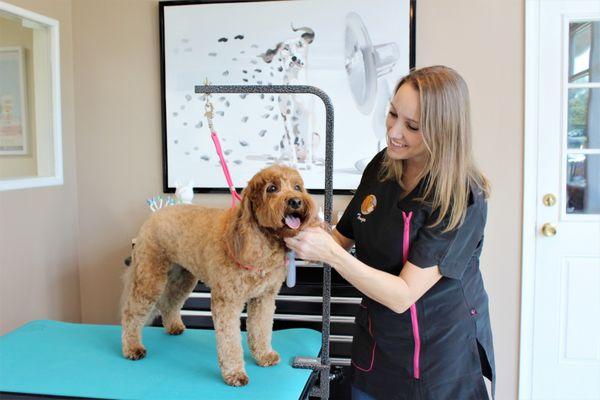 Rory loves spending time with Groomer Tonya.