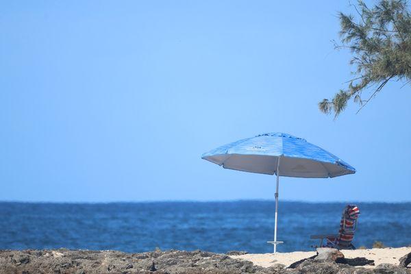 Beach chairs and umbrellas