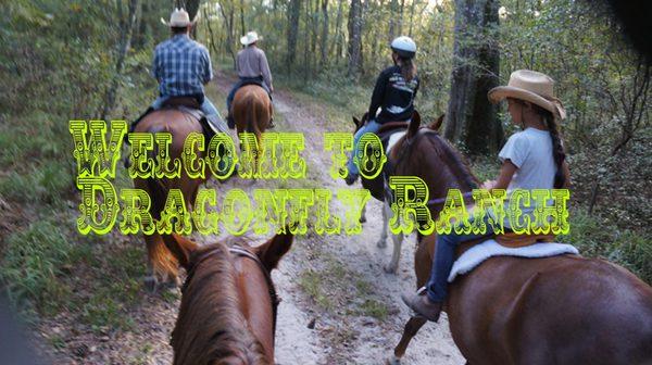 Horseback riding Florida with www.dragonflyranchflorida.com