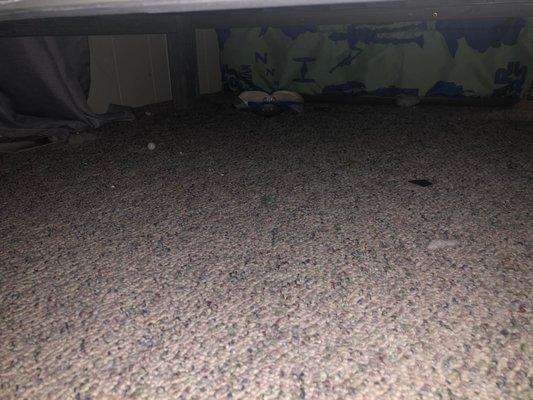 233.00 JOB NOT EVEN UNDER THE BED THEY CLEANED