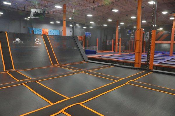 Dodgeball courts