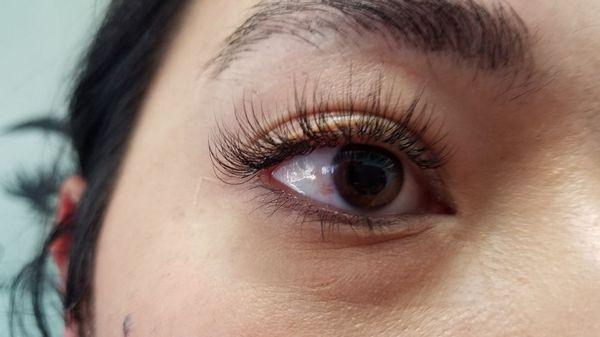 Lash extensions