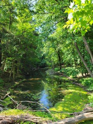 View near Ledges Trail