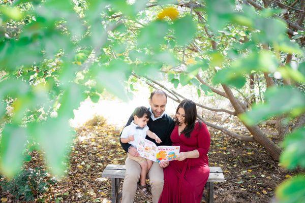 Lifestyle Family Photo Under the Big Tree