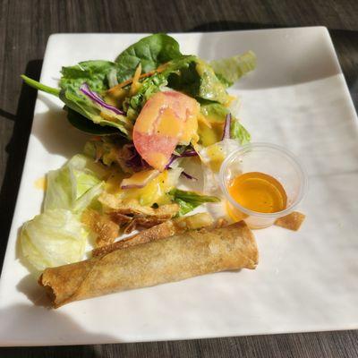 Salad and veggie spring roll