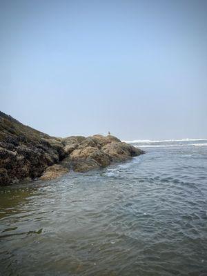 Proposal Rock Beach