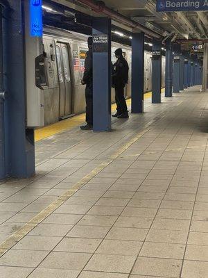 New York's Finest keeping the "city that never sleeps," safe on the trains.